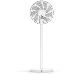 Ventilateur DUUX DXCF60 WHISPER Essence