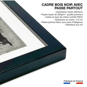 Affiche Carte du monde punky Affiche + cadre en bois - Noir