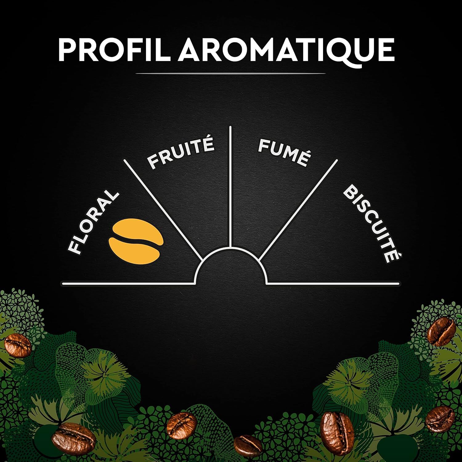 Carte Noire Grains BIO 1KG