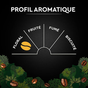 Carte Noire Grains BIO 1KG