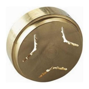 Filière KENWOOD AT910 011 Filière pour Conchigliette