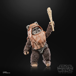 Sw Bl Roj Wicket Af Action Figura Hasbro