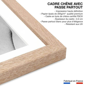 Affiche de film Sophia Loren, La chance d'être femme, 1955 Affiche + cadre en bois - Chêne