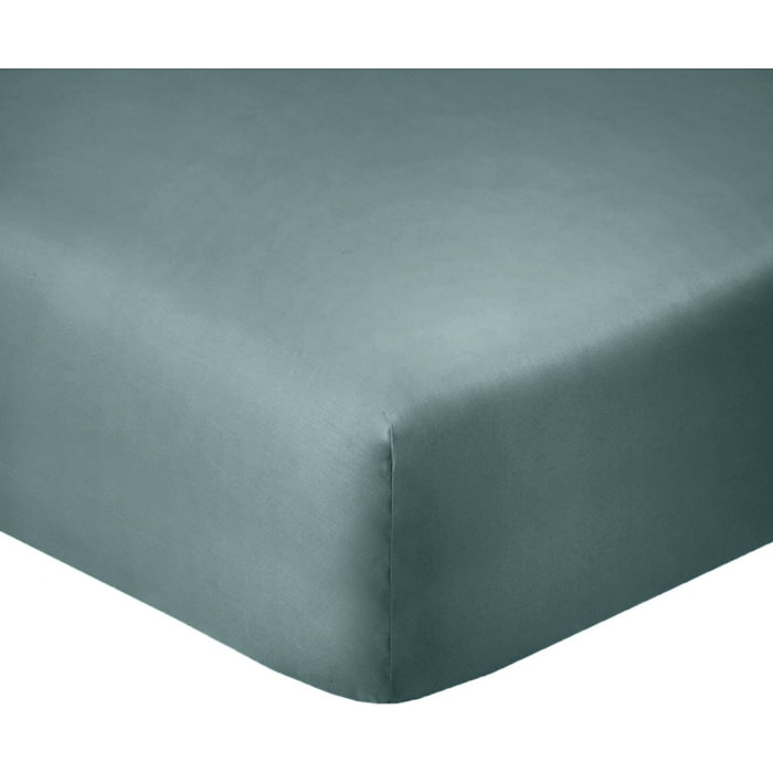 Drap housse coton bleu, canard
