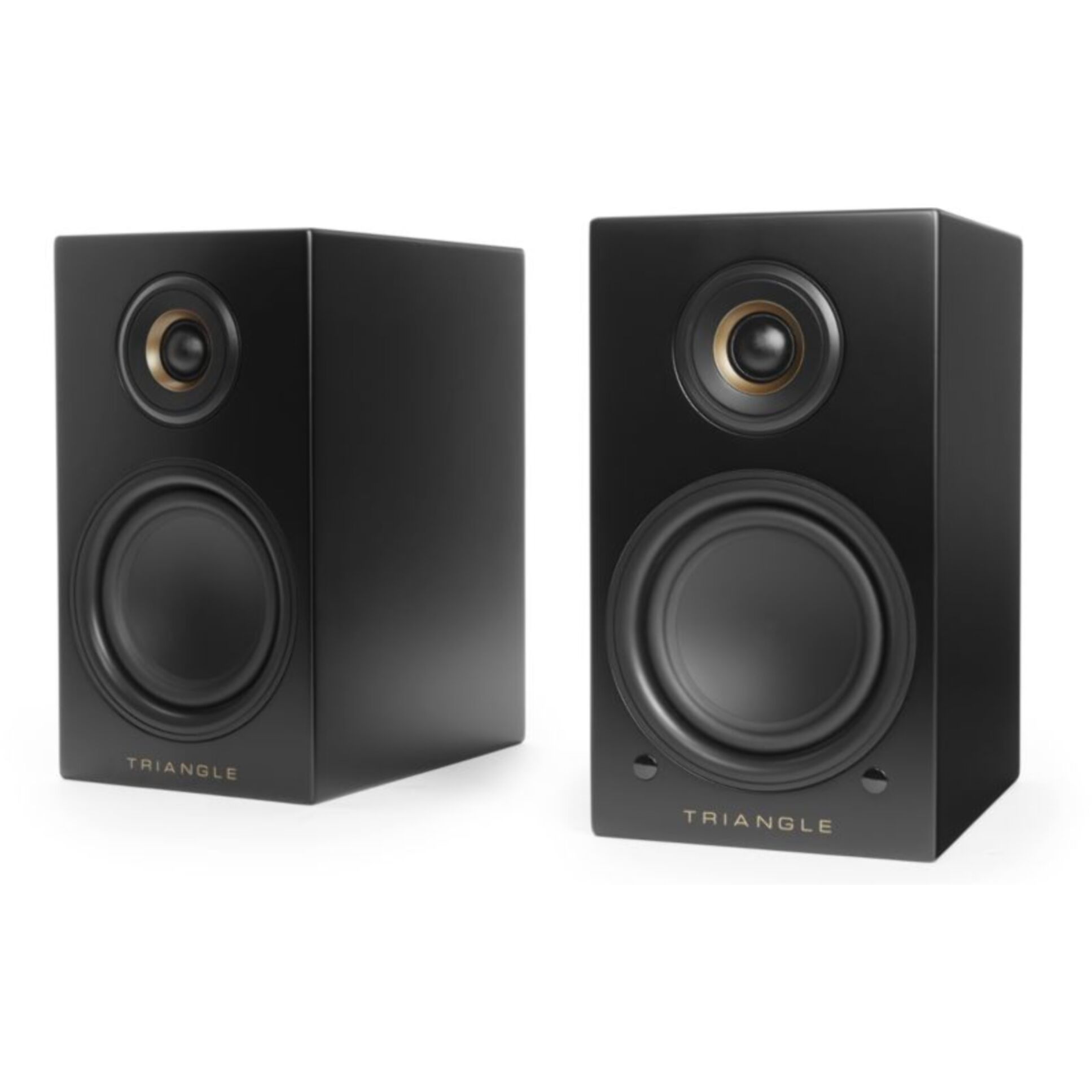 Enceinte bibliothèque active TRIANGLE LN01A ELARA NOIR MAT X2