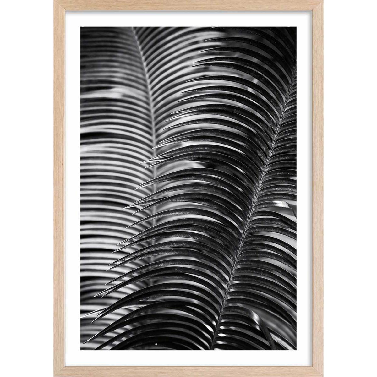 Poster jungle Sun palm Affiche + cadre en bois - Chêne