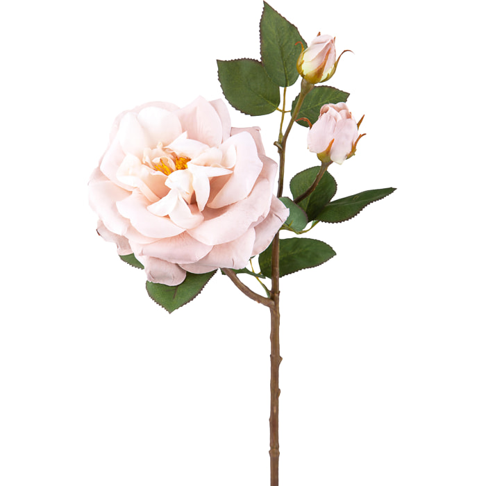 Rosa Inglese. Altezza 48 Cm - Pezzi 6 - 18X48X6cm - Colore: Altro - Bianchi Dino - Fiori Artificiali