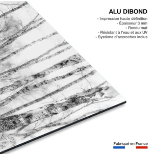Tableau bouleaux en monochrome Tableau alu Dibond