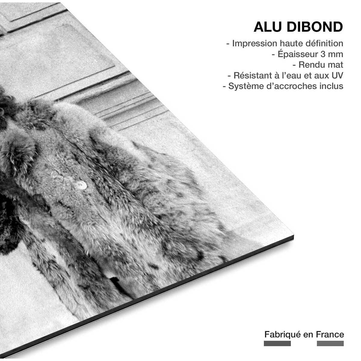 Tableau Michel Polnareff à Paris Tableau alu Dibond