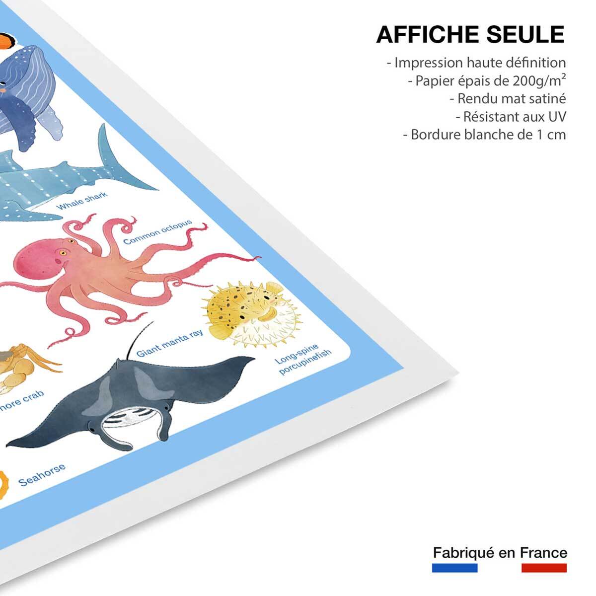 Affiche enfant animaux marins  Affiche seule