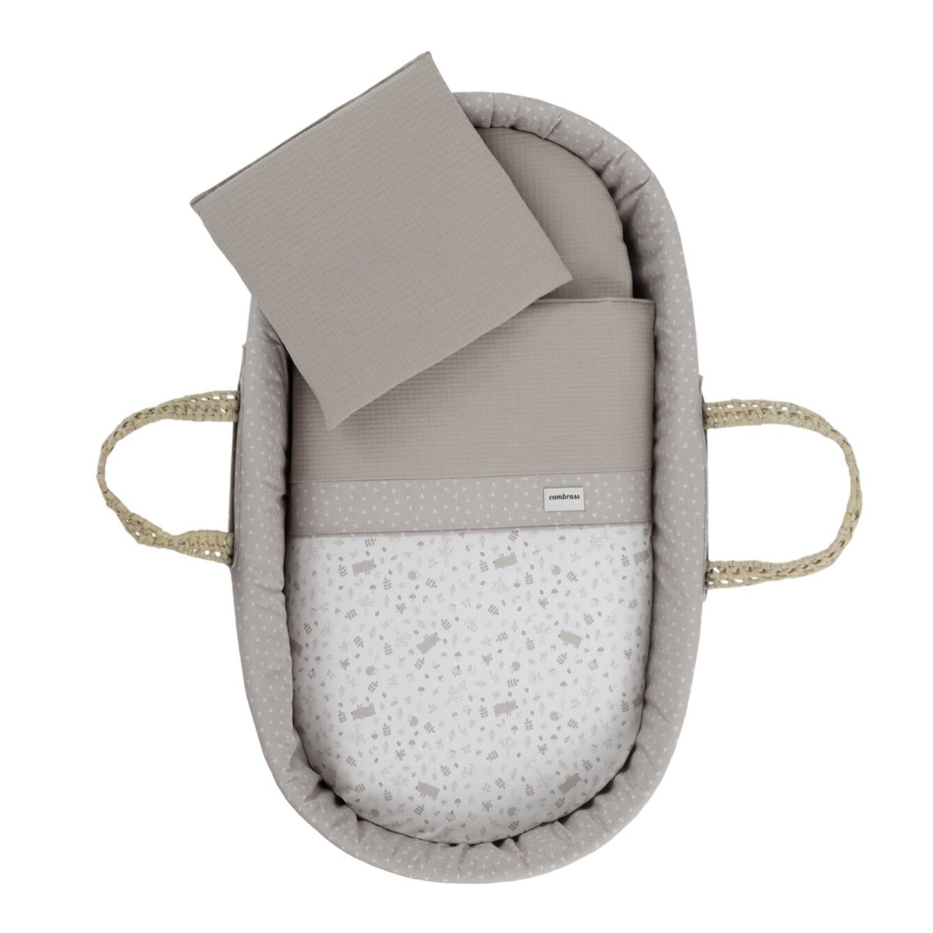 Cambrass Moises De Palma Acolchado Une Abete