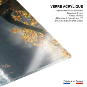 Tableau paysage Souffle d'hiver Tableau plexiglas