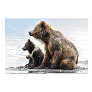 Affiche animaux profile Family Affiche seule