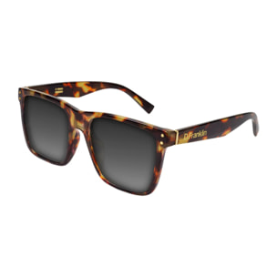 Gafas de Sol Roosevelt II Carey / Brown D.Franklin