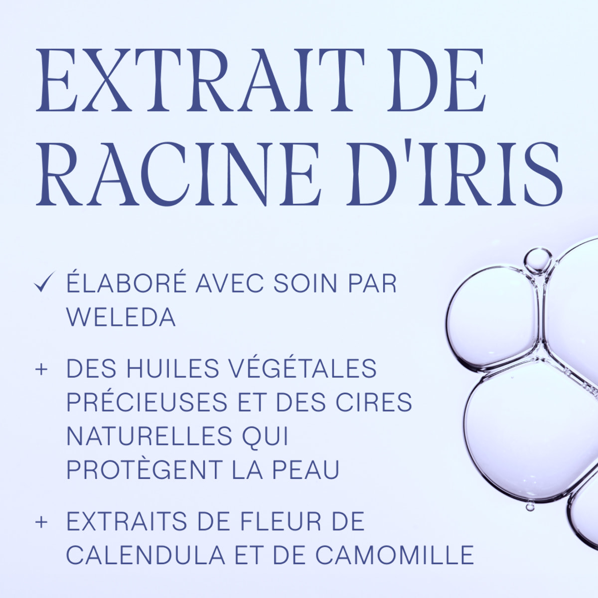 WELEDA - Crème de Nuit régénérante Iris - 30 ml