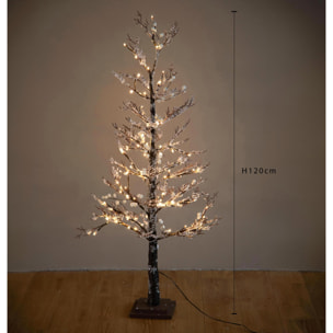 Larice - Pezzi 1 - 70xH120x70cm - Bianchi Dino SpA