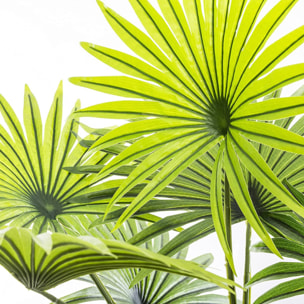 Planta decorativa Tronco de Palmera- Atmosphera