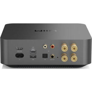 Amplificateur HiFi WIIM amp pro