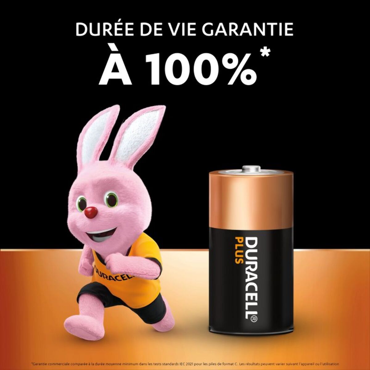 Pile DURACELL LR14 (C) - Lot de 2 piles PLUS