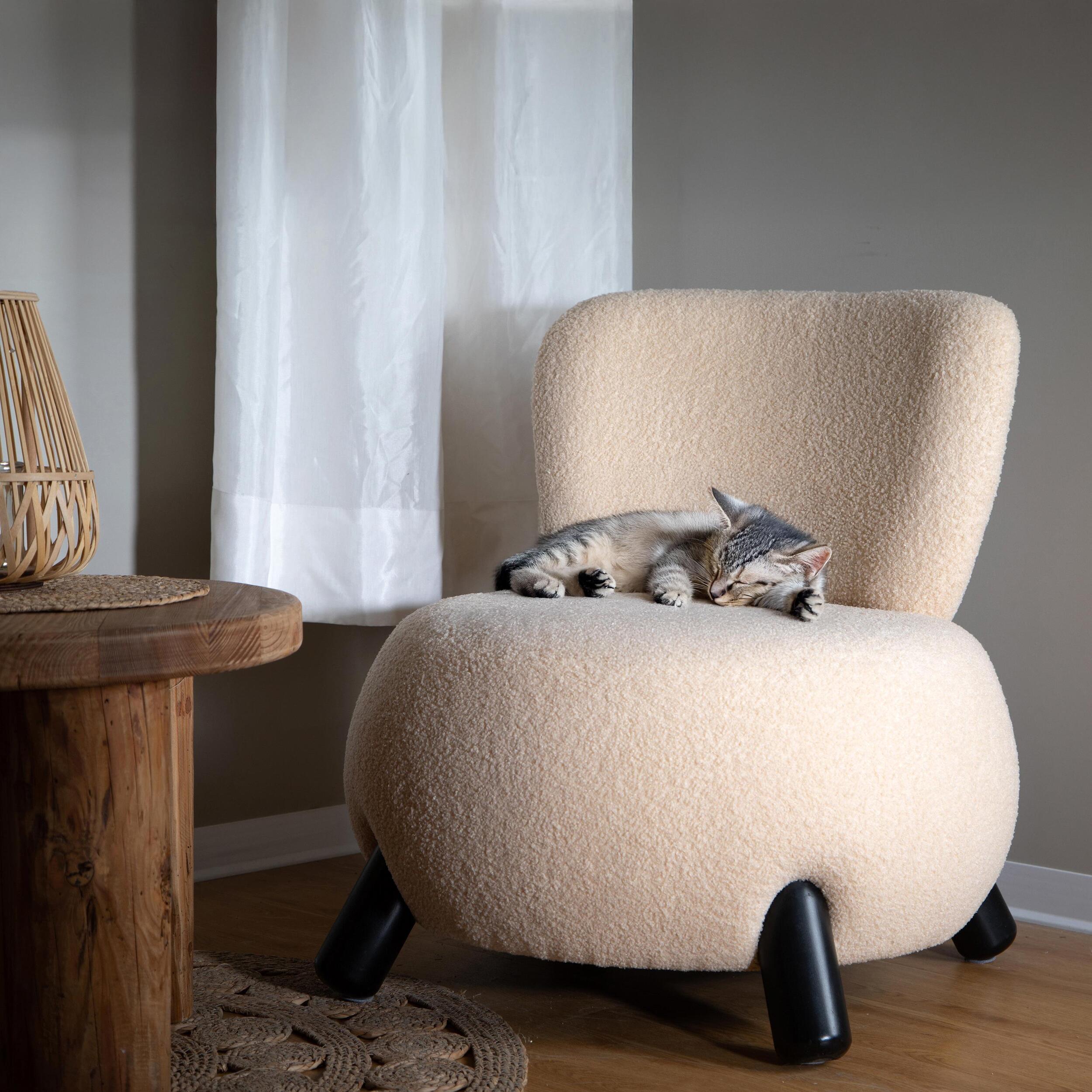 Poltrona teddy velvet - 75xH75x73cm - Pezzi 1 - Bianchi Dino SpA