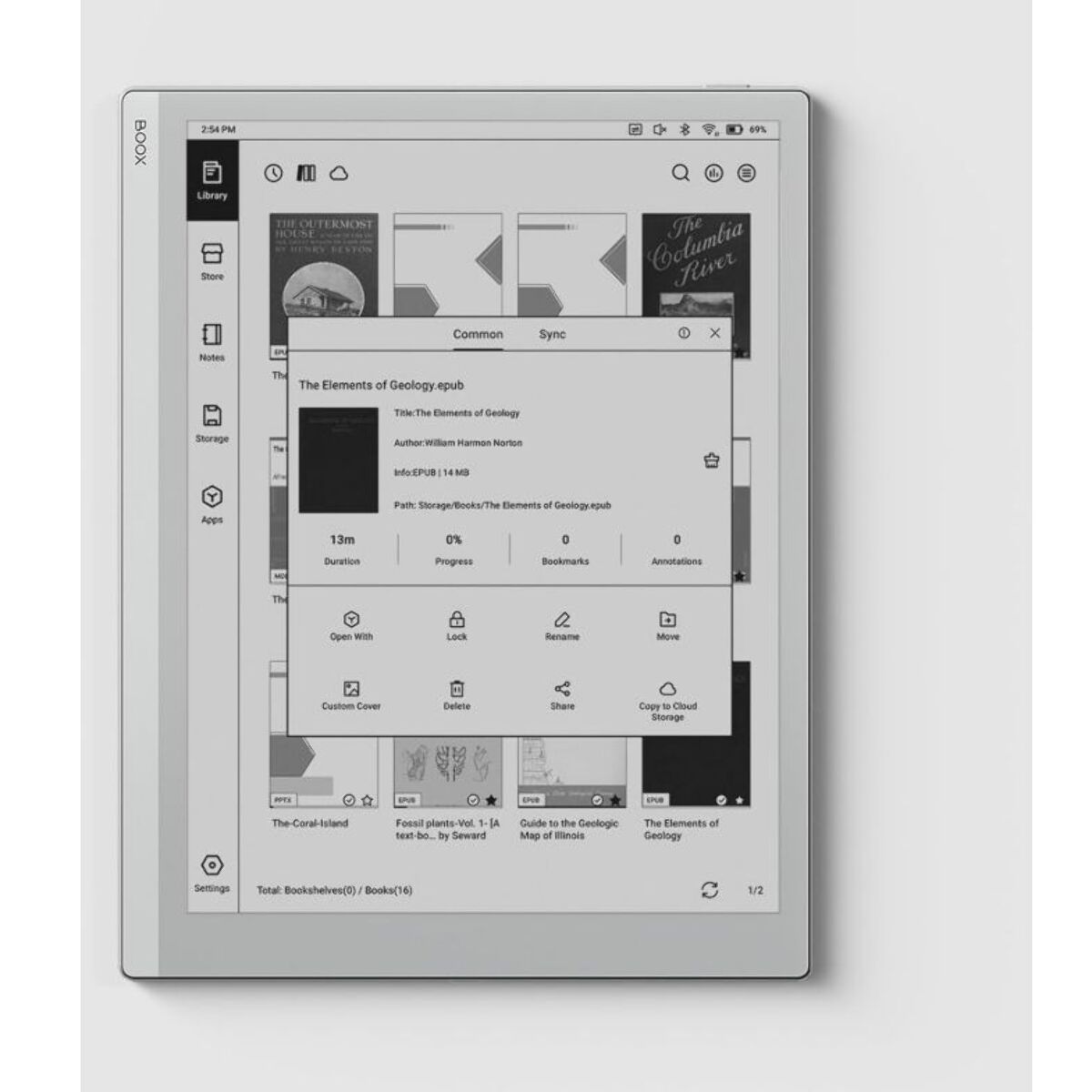 Liseuse eBook BOOX Go 10.3