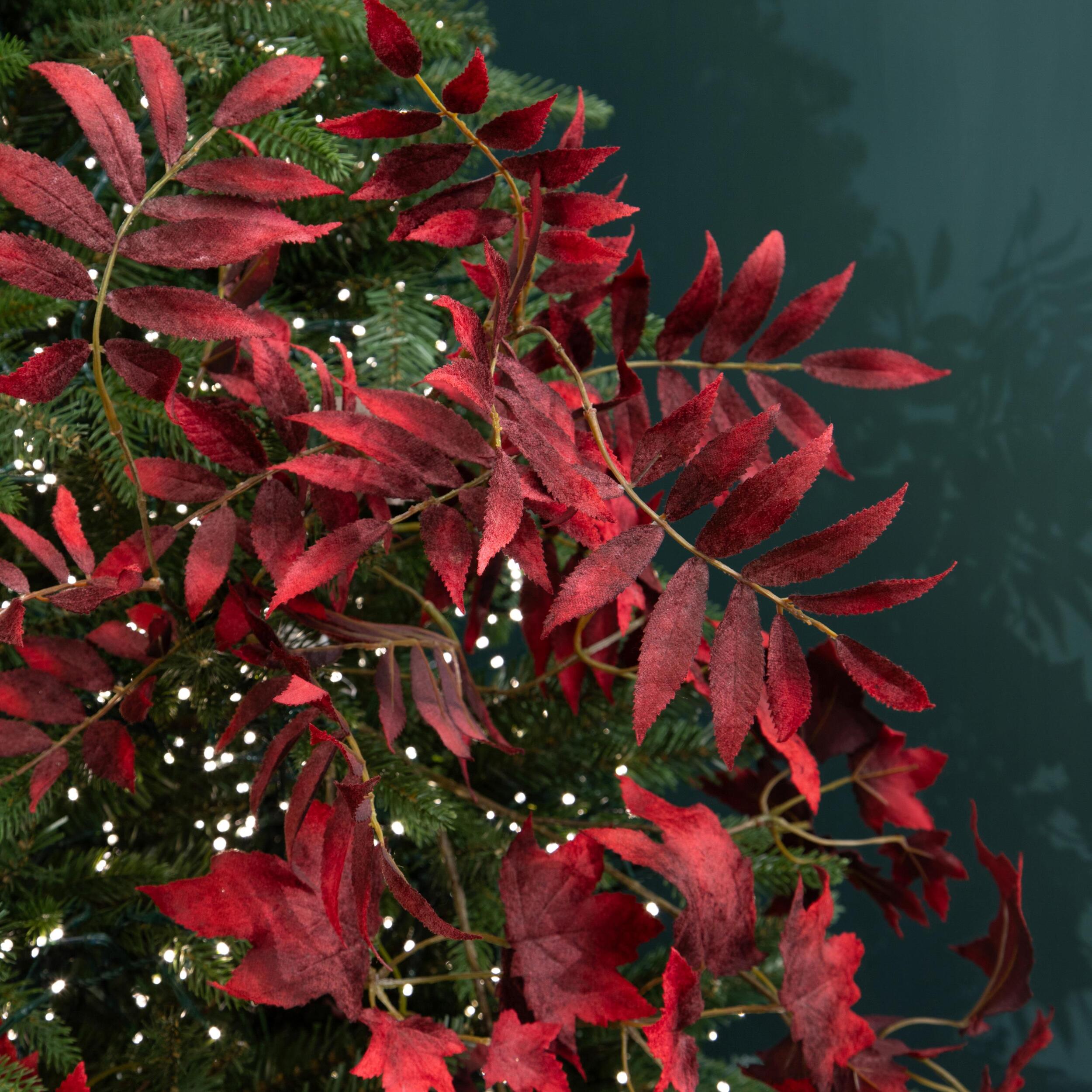 Sorbus ramo - Pezzi 6 - 17xH99x0,16cm - Bianchi Dino SpA