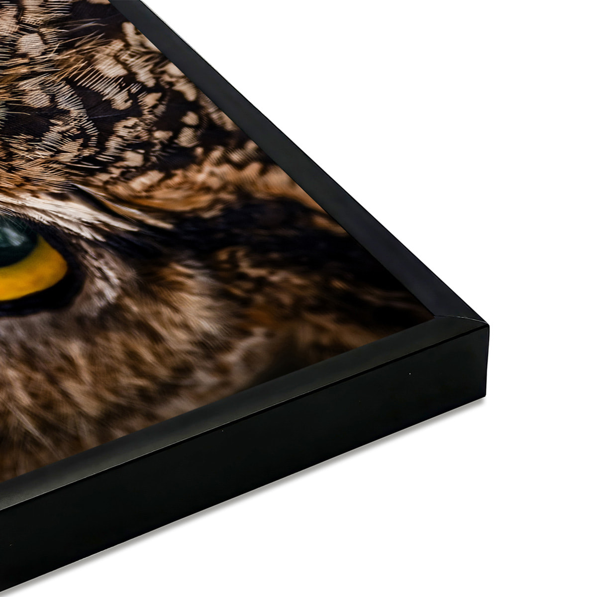 Affiche encadrée hibou en gros plan Affiche + cadre en métal - Noir