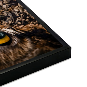 Affiche encadrée hibou en gros plan Affiche + cadre en métal - Noir