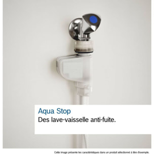 Lave vaisselle 60 cm BOSCH SMS4ECI28F Série 4 SERENITY Silence Plus