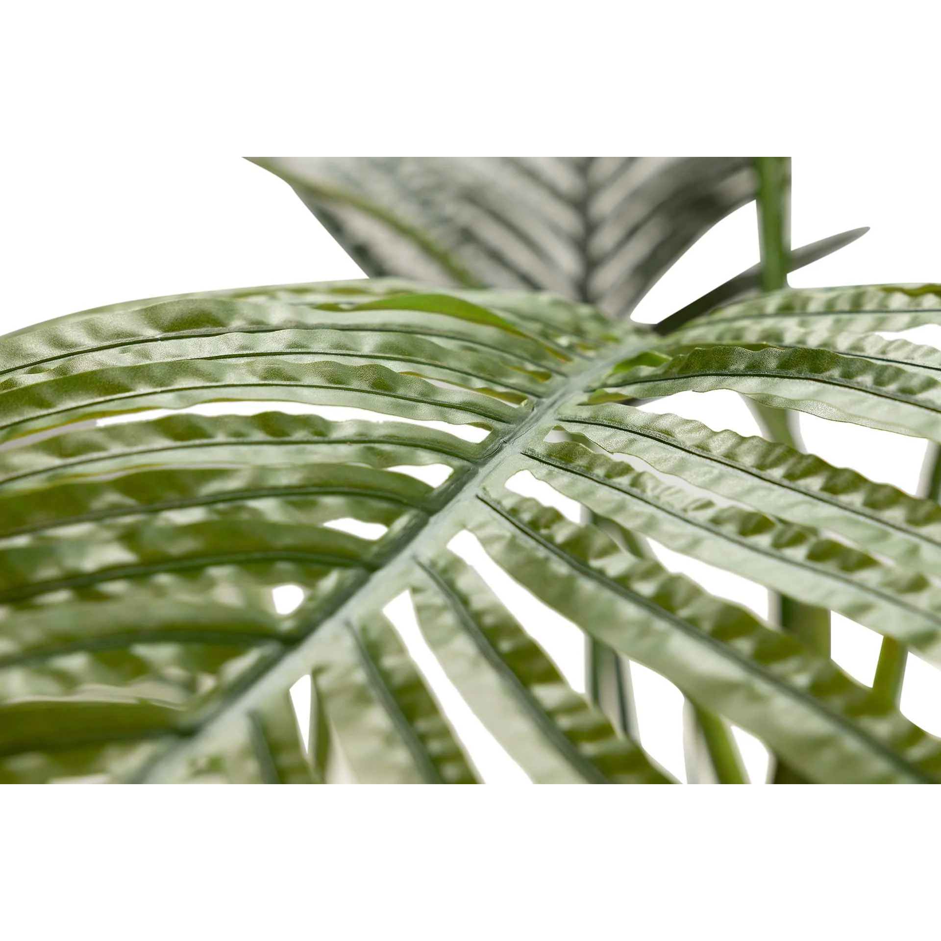 Planta Palmera Areca 80x80x140 Cm