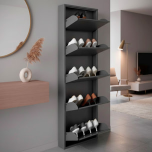 Scarpiera Slim In Metallo 5 Ante A Ribalta Ultra Sottile Salvaspazio Mobile Portascarpe Moderno Ingresso Camera Corridoio 172 x 50 x 15 Cm Nero