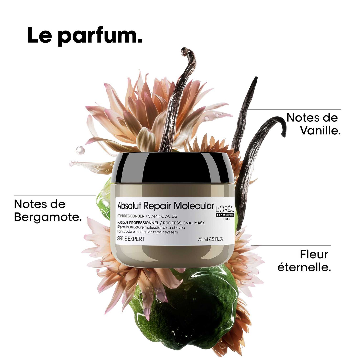 Absolut Repair Molecular - Masque à Rincer pour Tous Types de Cheveux Abîmés. 75 ml