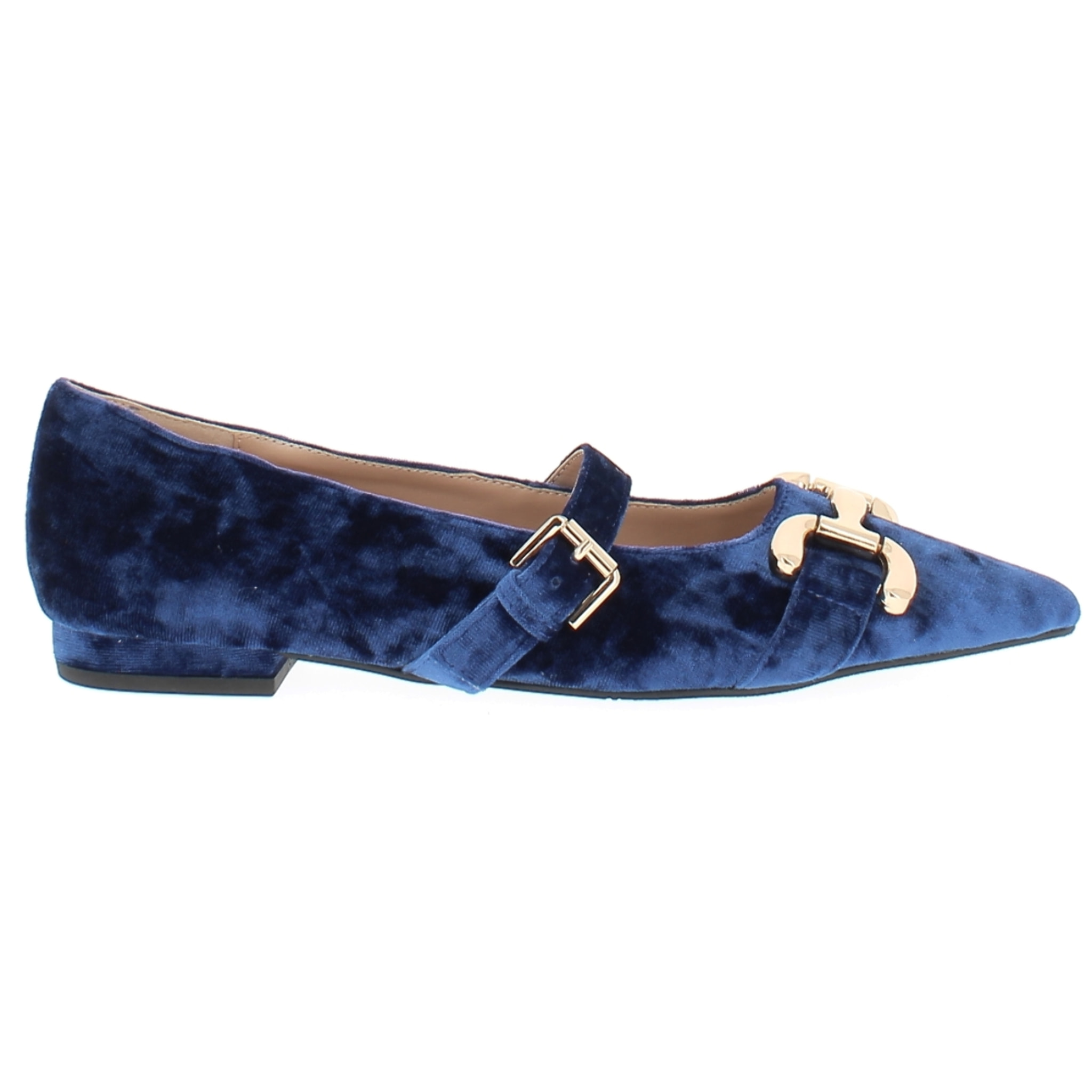 Marina Galanti Scarpe Donna Velvet Ballet Flat with Gold Horsebit MG W24A039 Blue