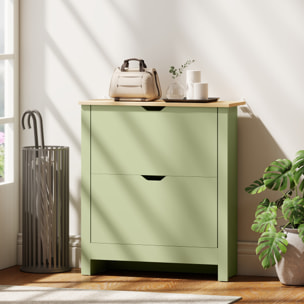 Armoire à chaussures 2 portes abattantes 2 compartiments vert amande naturel
