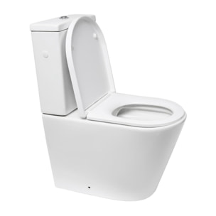 Project ensemble WC à poser sans bride & mécanisme de chasse GEBERIT + abattant SoftClose, blanc brillant (SATPRO31G)