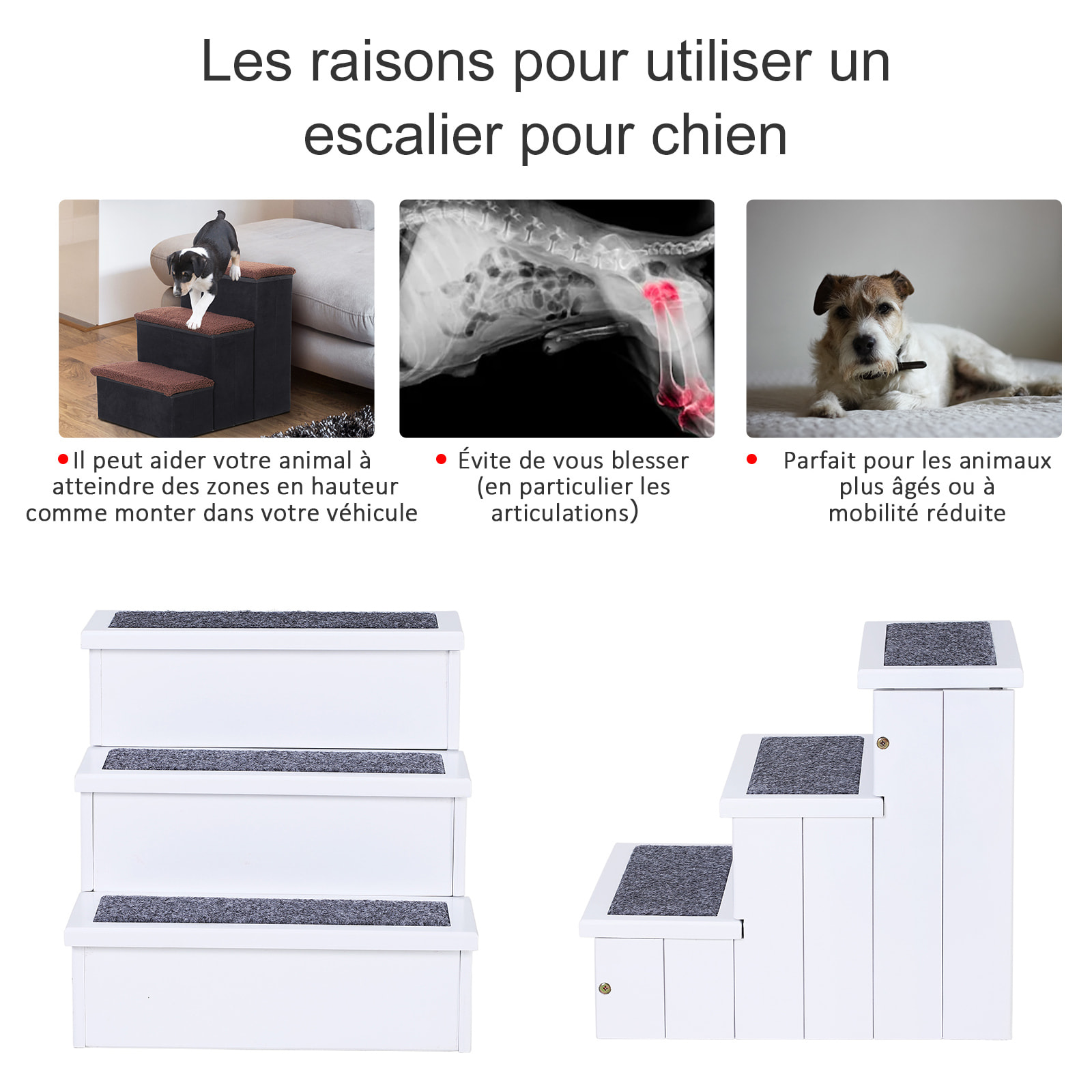 Escalier pour chien animaux rampe 3 marches revêtement tapis coffre interne rangement blanc