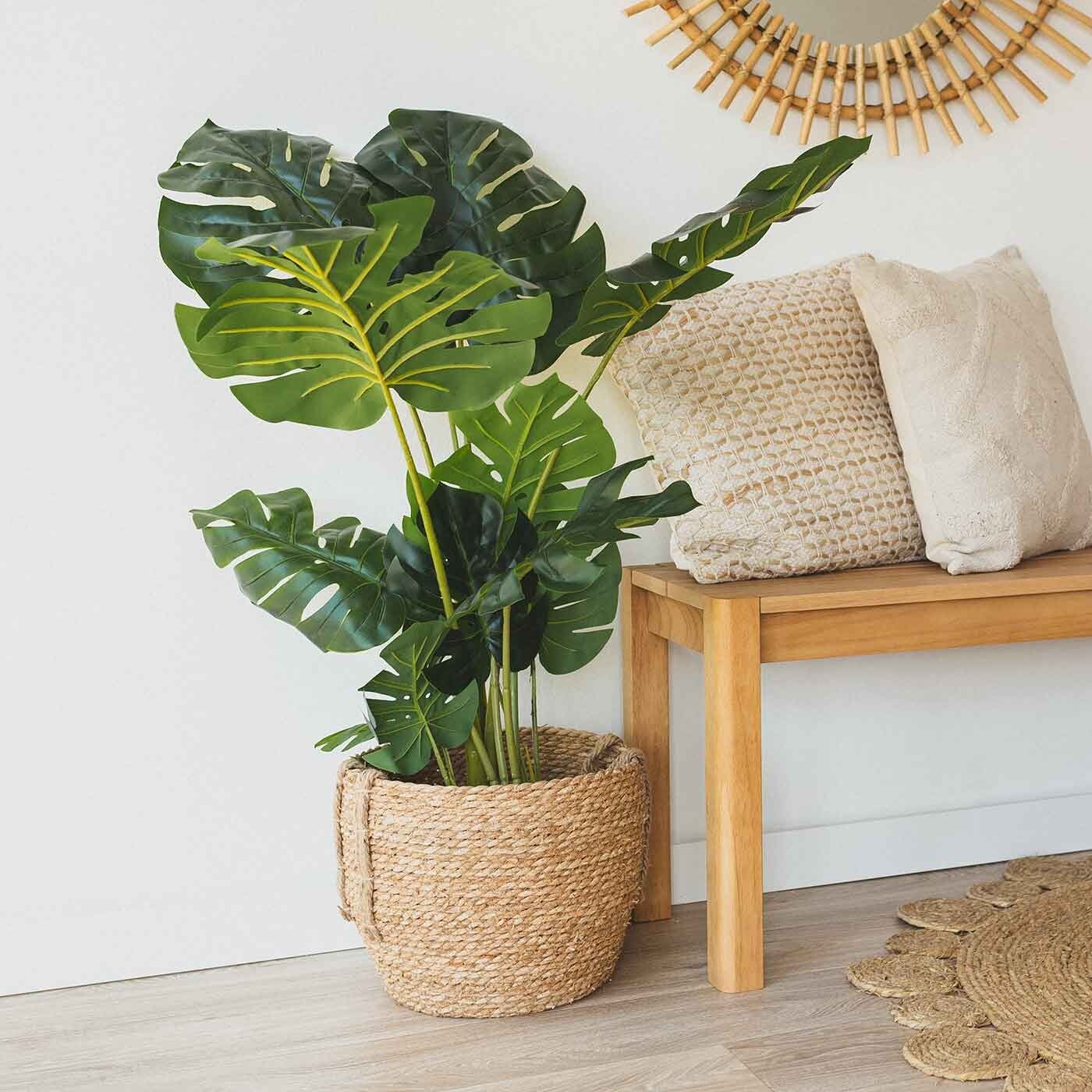 Monstera gari 110cm