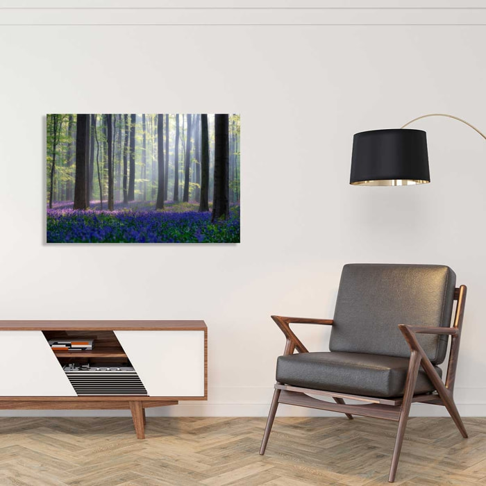 Tableau nature jacinthes et sous-bois Tableau plexiglas