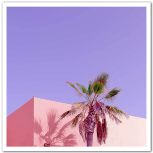 Affiche photo pink palma Affiche seule