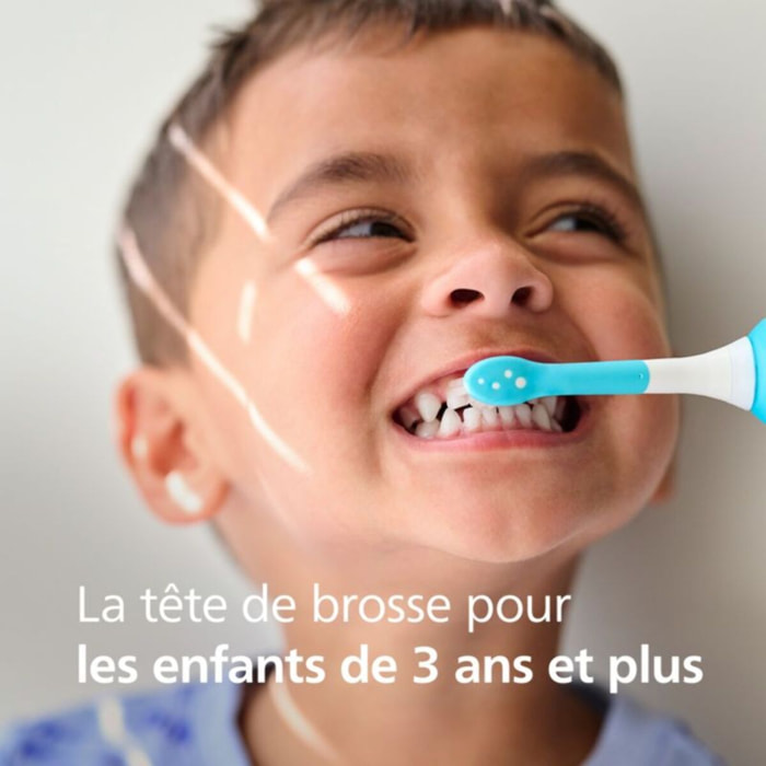 Brossette dentaire PHILIPS Sonicare x2 tetes de brosse HX6032/90