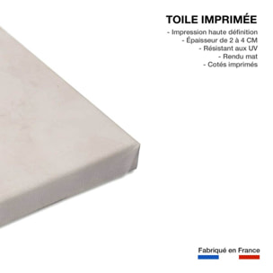 Tableau bleu de chine  Toile imprimée