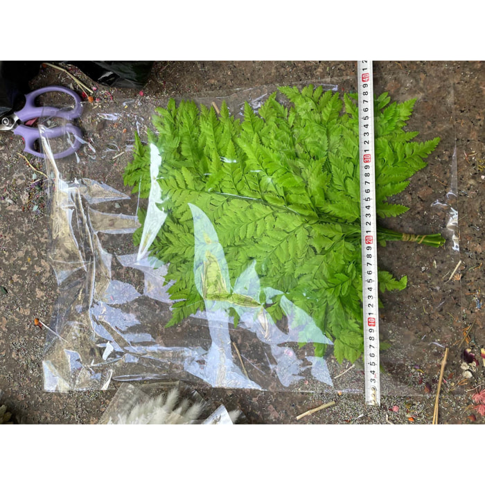 Vaso AGoccia - Pezzi 1 - 22X18X22 - Colore: marrone - Bianchi Dino - Decori Casa E Complementi