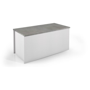 Baule Miltonia, Capiente box contenitore multiuso, Cassapanca moderna, 100% Made in Italy, Cm 90x45h45, Bianco e Cemento