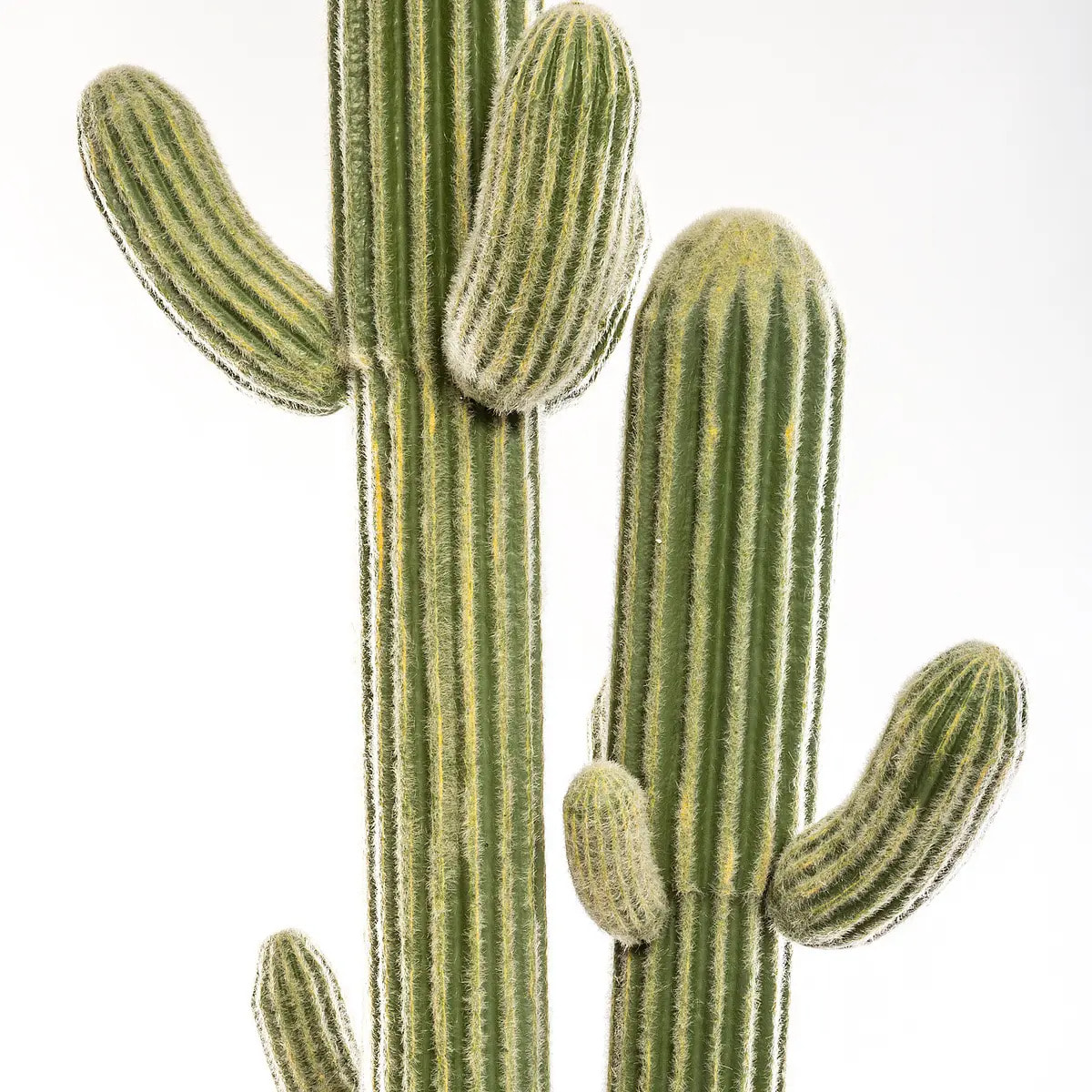 Cactus artificiel 3 troncs H203 cm