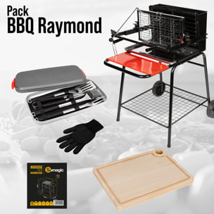 Pack barbecue foyer vertical Raymond