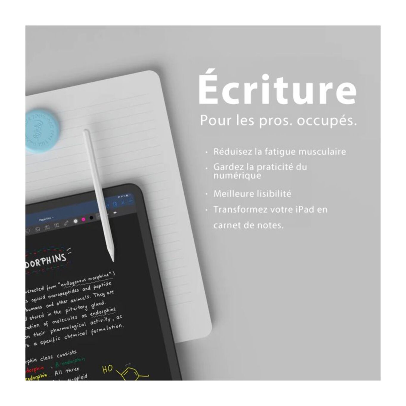 Protège écran PAPERLIKE 2.1 pour iPad Pro 12.9''