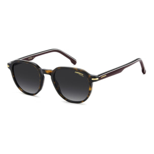 Gafas de Sol Carrera 376/S 086 de Acetato Hombre 50 mm