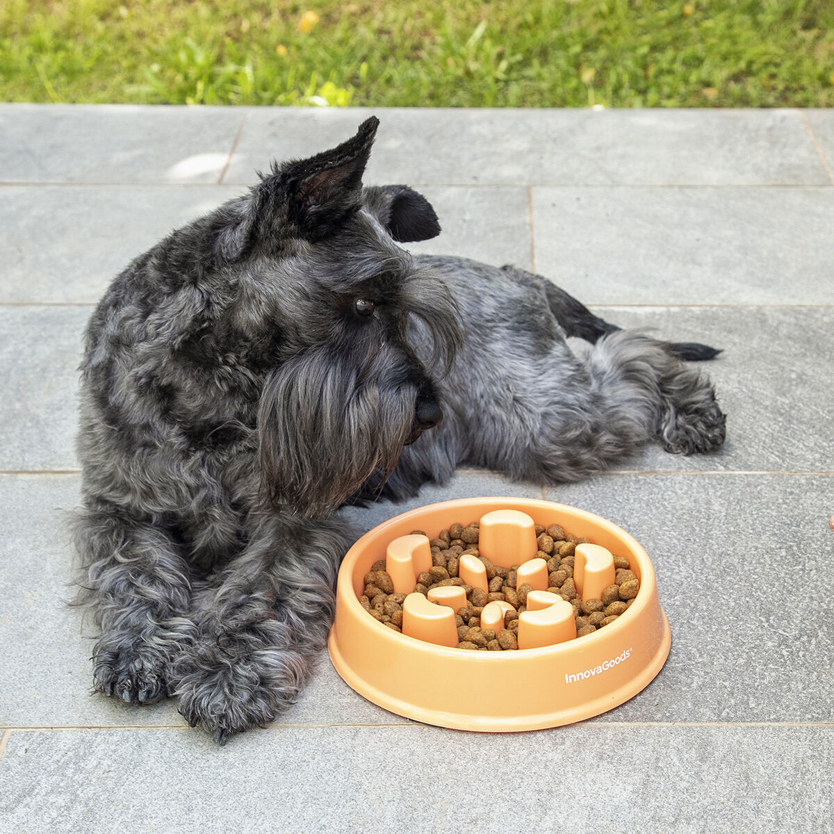 Comedero de Alimentación Lenta para Mascotas Slowfi InnovaGoods