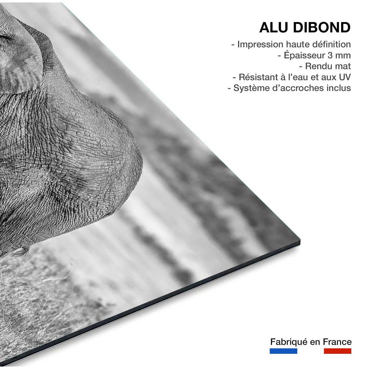 Tableau Mère éléphant Tableau alu Dibond