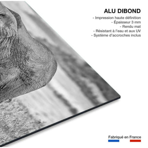 Tableau Mère éléphant Tableau alu Dibond